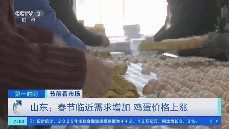 2026年鸡蛋价格上涨