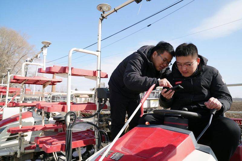 Technology and management of wheat cultivation