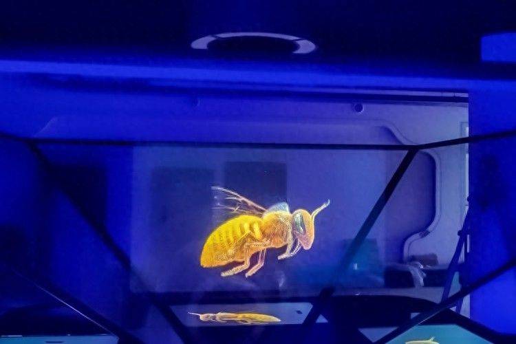 伪3d全息投影原理