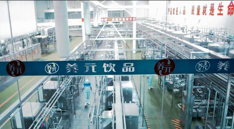 养元六个核桃价格