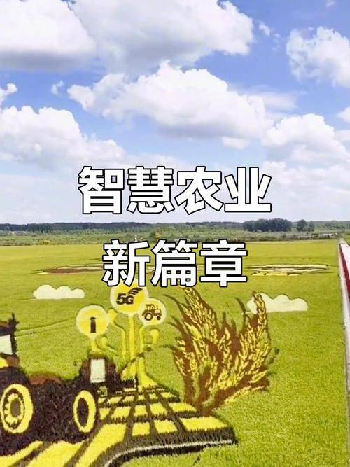 小麦种植技术与管理