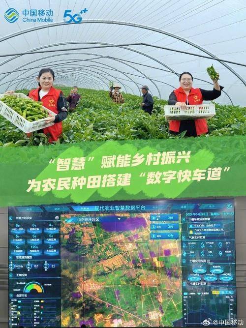 小麦种植技术与管理