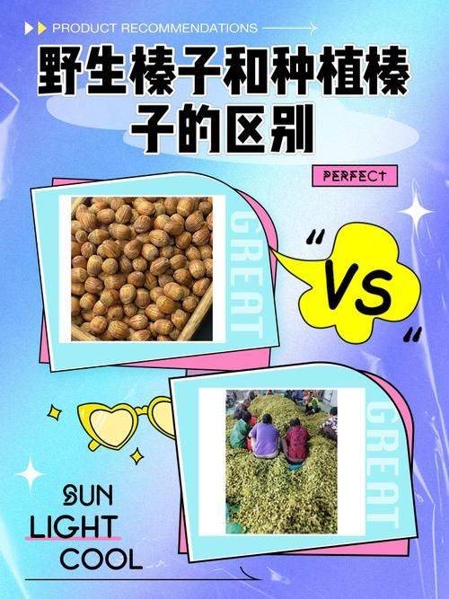 榛子怎么培养与种植