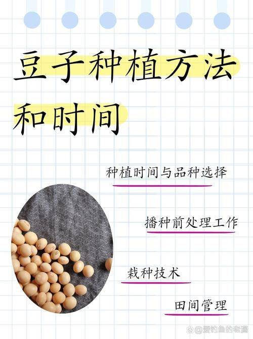 饭豆的种植方法和时间