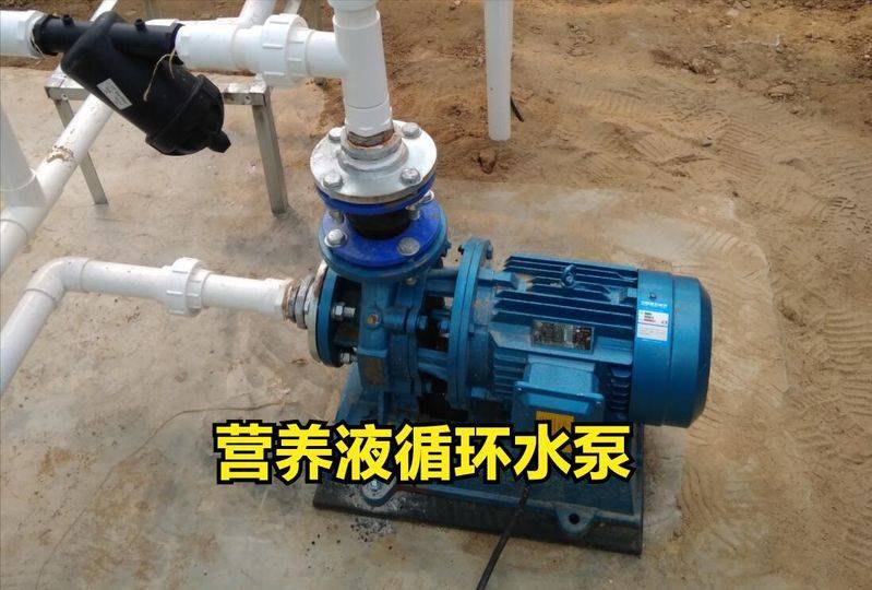 无土蔬菜种植技术