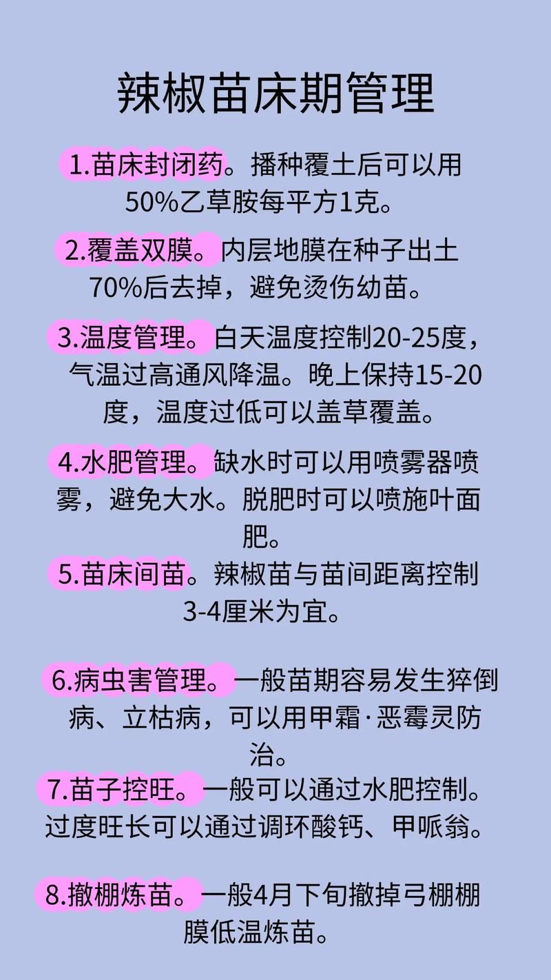 阳台辣椒苗的种植方法