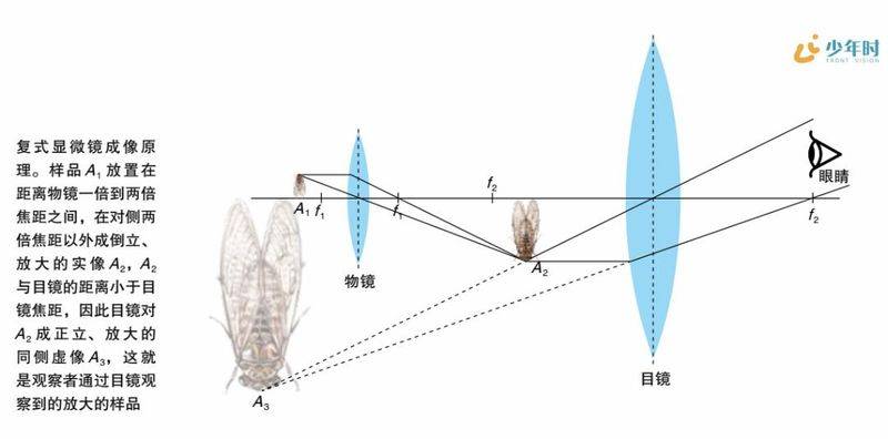 伪3d全息投影原理