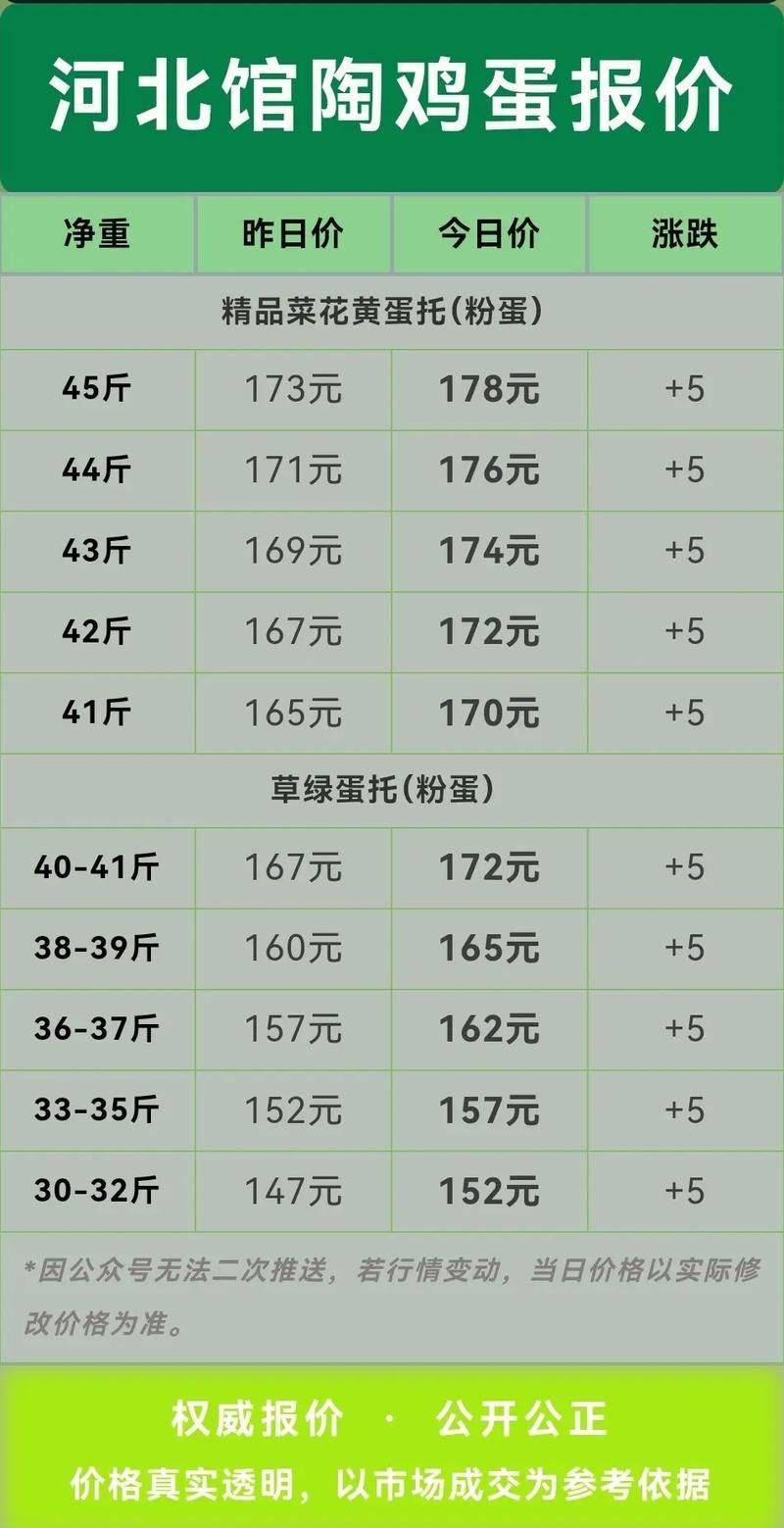 2026年鸡蛋价格上涨