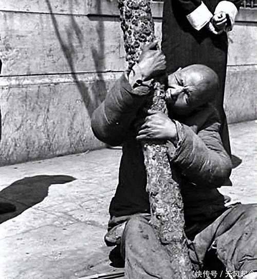 红苕的种植方法