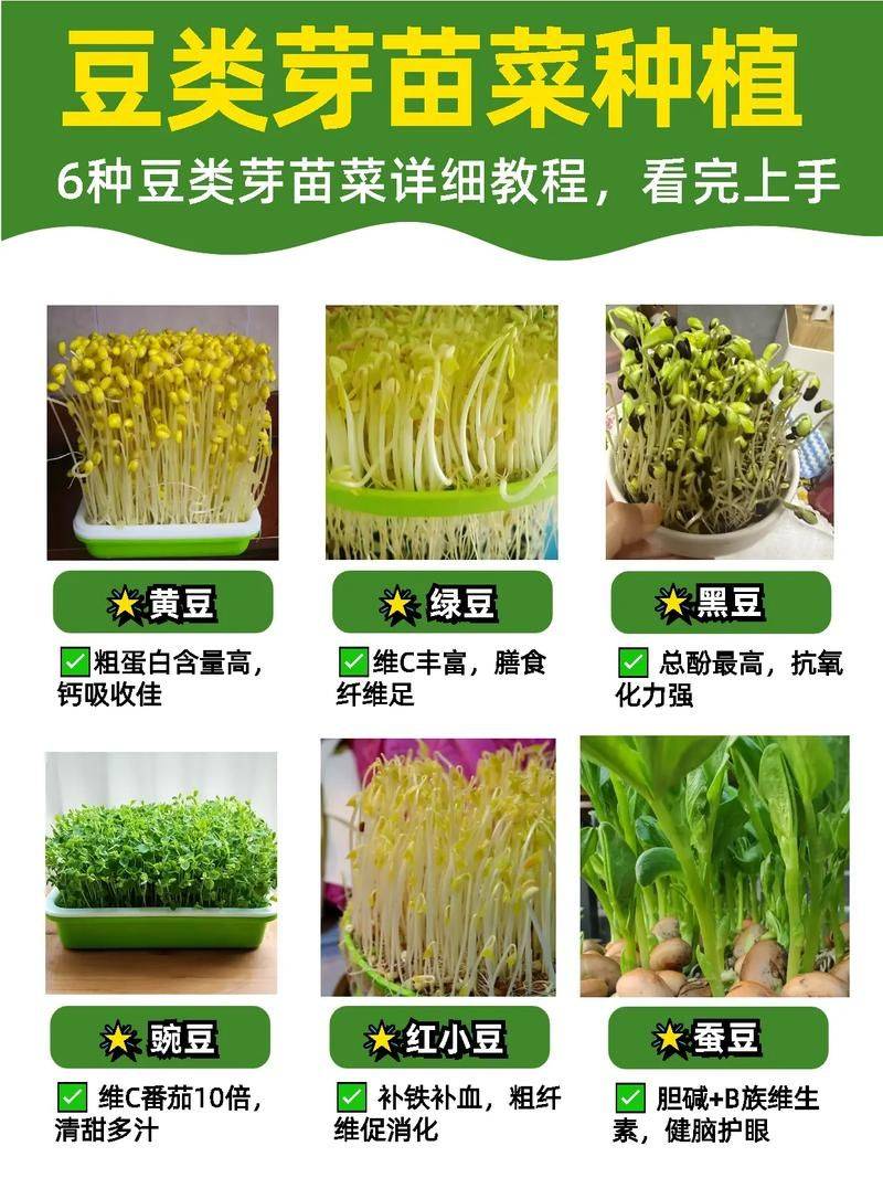 饭豆的种植方法和时间