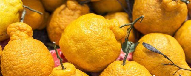 丑橘的种植技术
