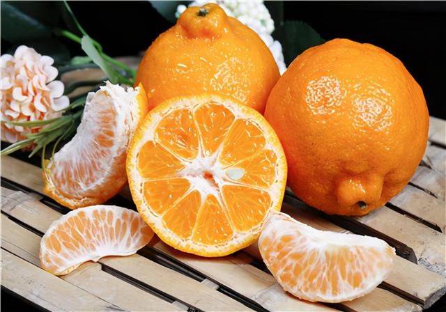 丑橘的种植技术