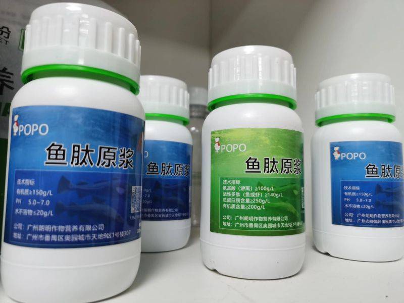 饭豆的种植方法和时间