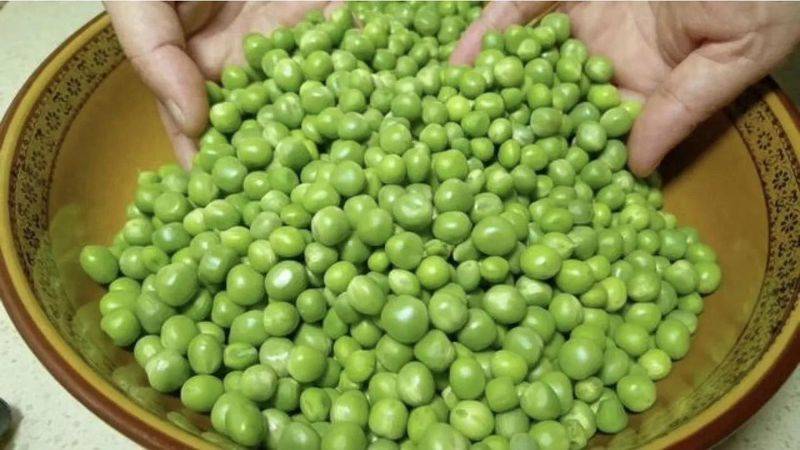 保存豌豆，千万不要直接放冰箱，教你技巧，放一年半载都新鲜，棒
