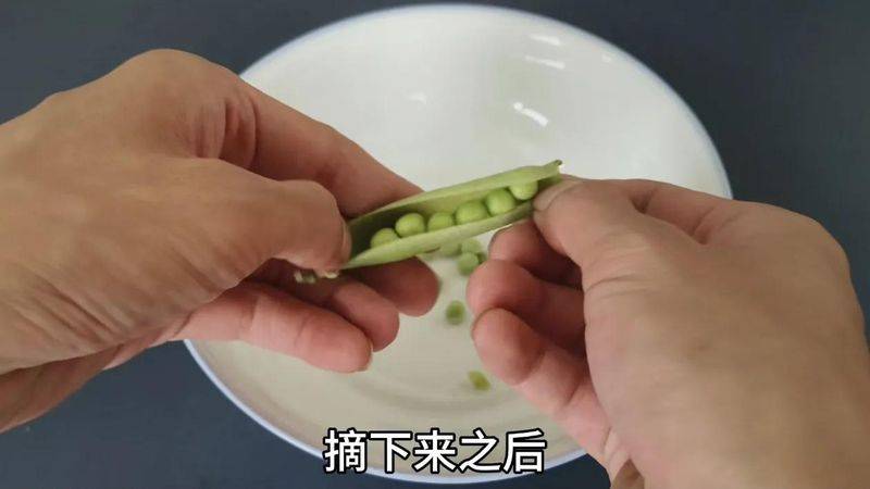豌豆苗种植技术视频