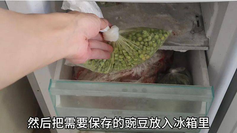 豌豆苗种植技术视频