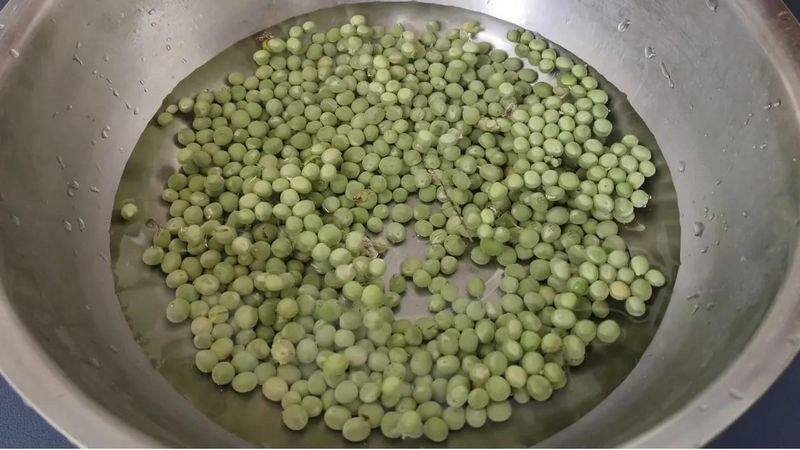 豌豆苗种植技术视频