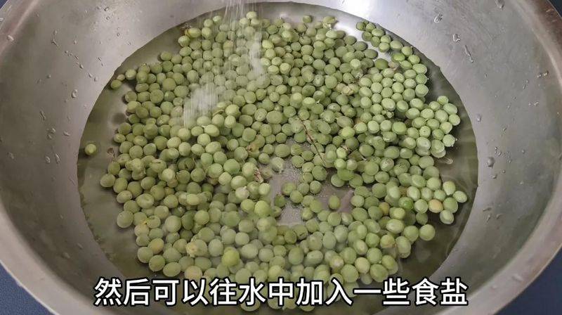 豌豆苗种植技术视频