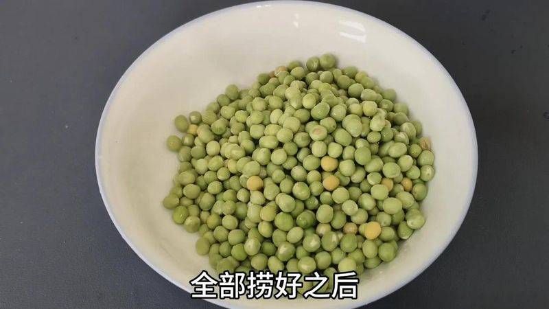 豌豆苗种植技术视频