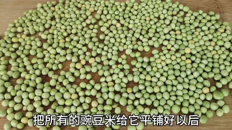 豌豆苗种植技术视频