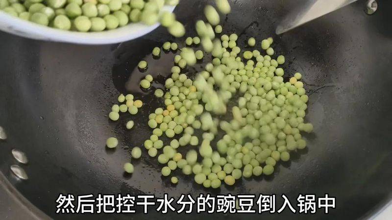 豌豆苗种植技术视频
