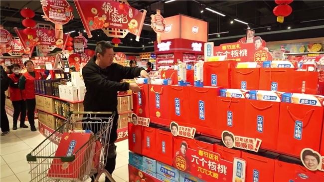 养元六个核桃价格