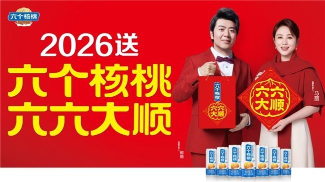 养元六个核桃价格