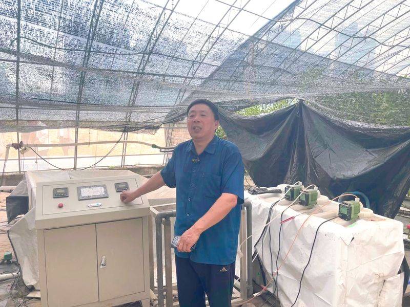 Landless vegetable cultivation techniques