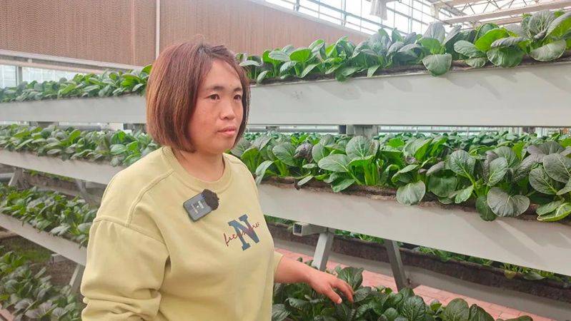 Landless vegetable cultivation techniques