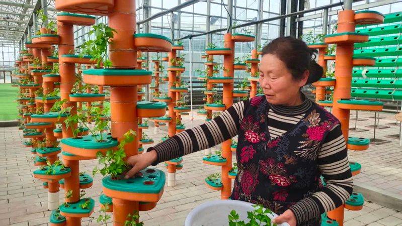 Landless vegetable cultivation techniques
