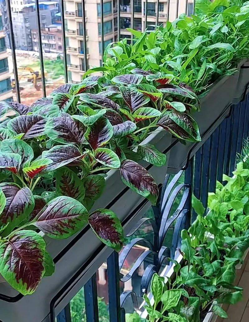 Small green gardening techniques