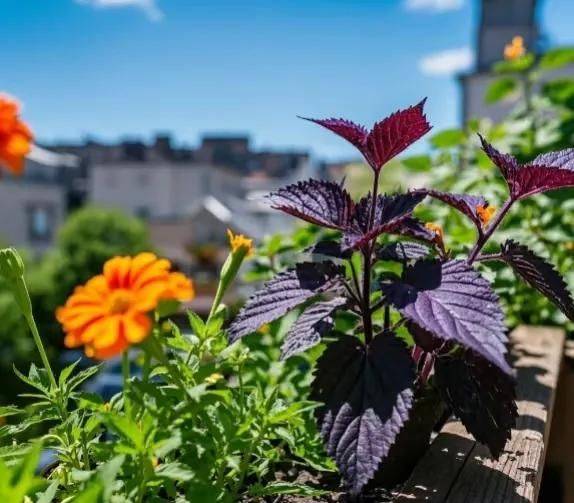 Small green gardening techniques