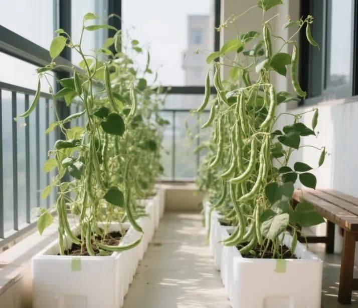Small green gardening techniques