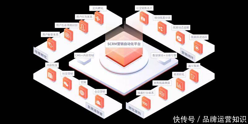 seo在线优化工具