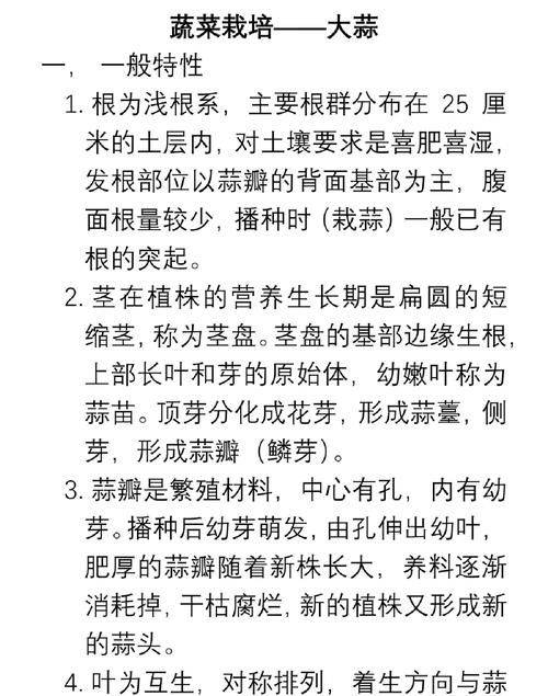 大蒜苗的种植技术