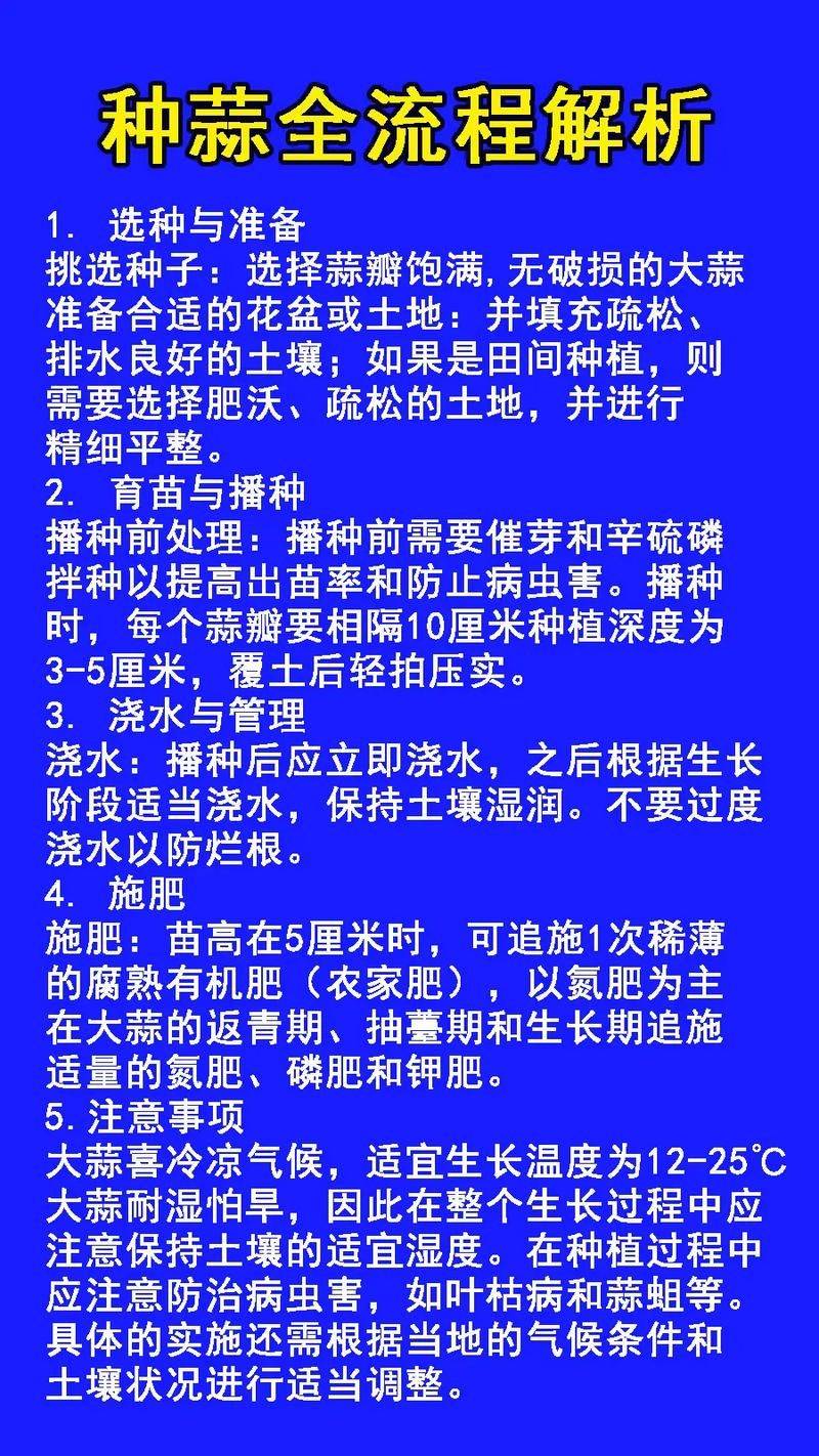 大蒜苗的种植技术