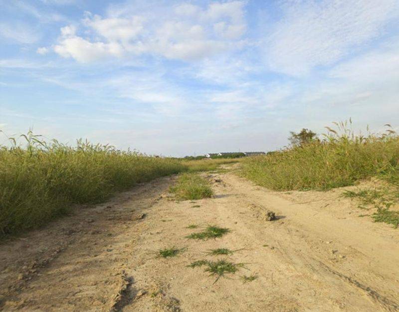 上海 养路费征稽所