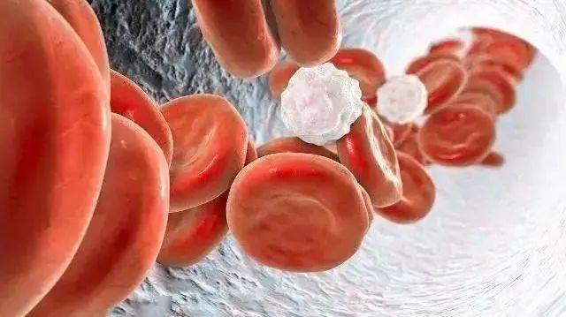 学校预防艾滋病健康教育基本知识问答