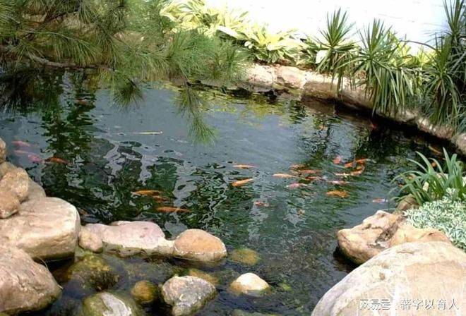 知识水平的重要性