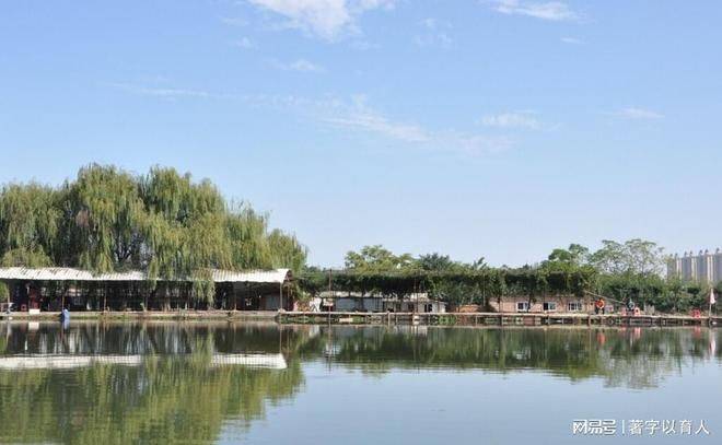 知识水平的重要性