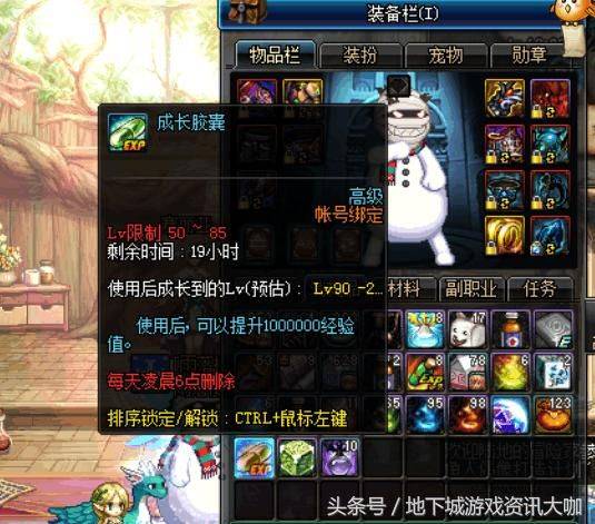 dnf 结婚 经验胶囊