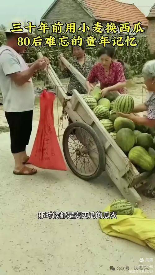 August melon planting technology