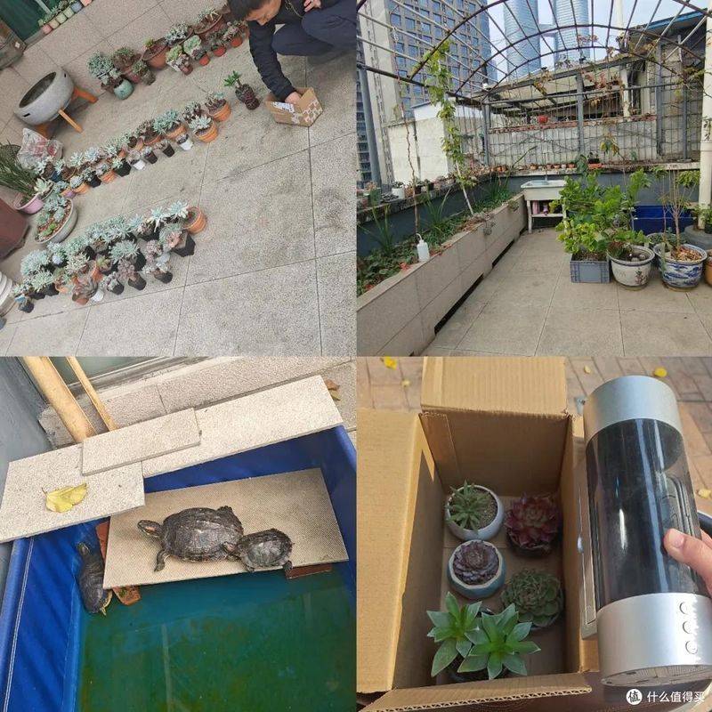 伪3d全息投影原理