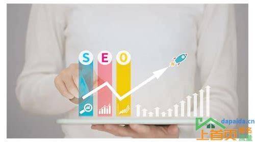 seo优化全解第1版-搜索引擎入门详解