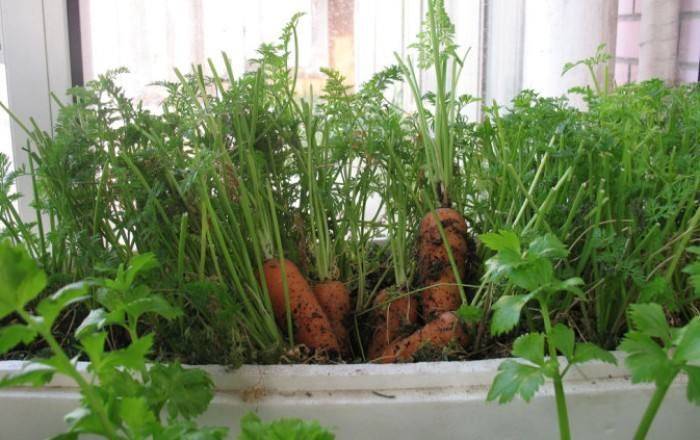 Small green gardening techniques