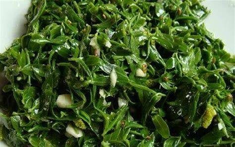 大蒜苗的种植技术