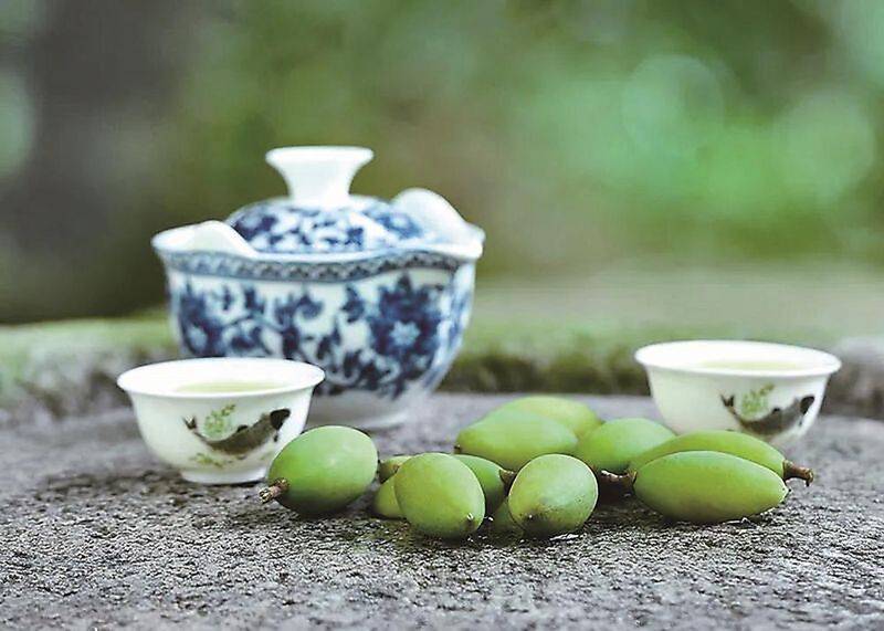 木鳖果种植技术