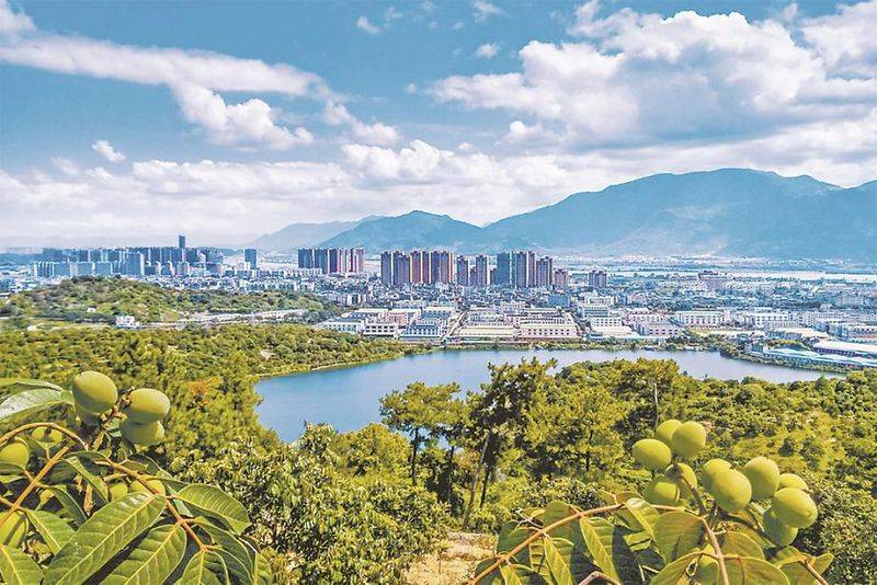 木鳖果种植技术