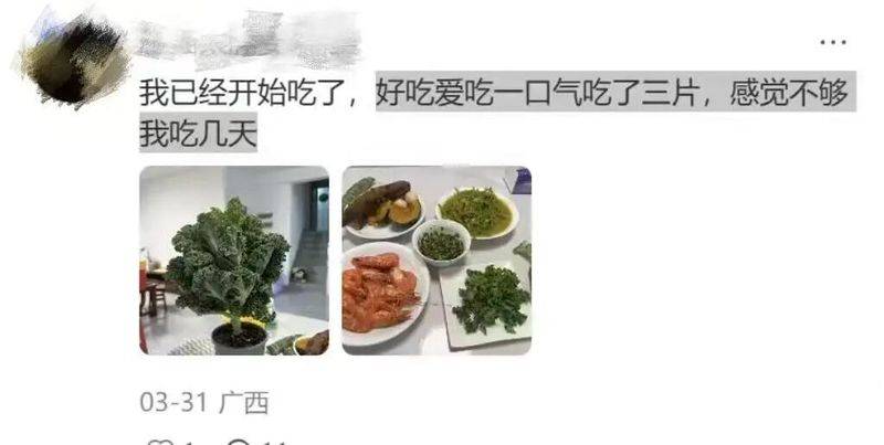 草莓盆栽种植方法视频