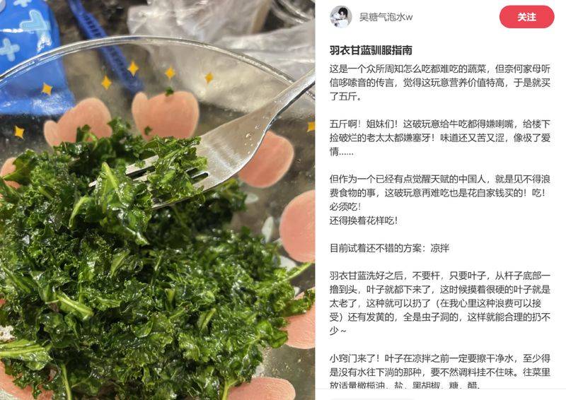 草莓盆栽种植方法视频